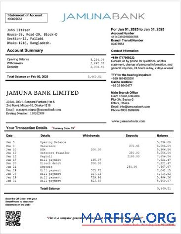 Realistic Bangladesh Jamuna bank statement of account word sample